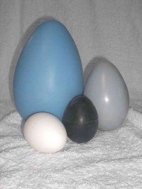 Egg, Gryphon Egg, Dragon Egg, Snake Egg, Naga Egg